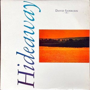 DAVID SANBORN / Hideaway [LP]