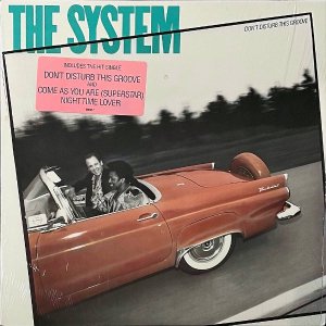 THE SYSTEM / Don't Disturb The Groove [LP]