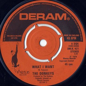 THE DONKEYS / What I Want [7INCH]