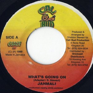 JAHMALI / What's Going On [7INCH]