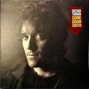 GECKO TURNER / Gone Down South [LP]