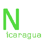 Nicaragua / ニカラグア　モンテ・クリスト農園　カツーラ種ハニー