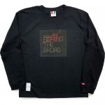 <img class='new_mark_img1' src='https://img.shop-pro.jp/img/new/icons15.gif' style='border:none;display:inline;margin:0px;padding:0px;width:auto;' />FESN / ON THE BROAD LONG SLEEVE  TEE [エフイーセスネヌ]  ロンT