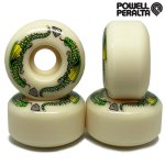 <img class='new_mark_img1' src='https://img.shop-pro.jp/img/new/icons15.gif' style='border:none;display:inline;margin:0px;padding:0px;width:auto;' />POWELL PERALTA /  DRAGON FORMULA WHEELS (54MMx32MM 93A) [パウエル ペラルタ] スケートボードソフト ウィール