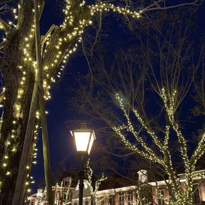 新モデル/1年間保証）LEDイルミネーションライト ストリングライト 500