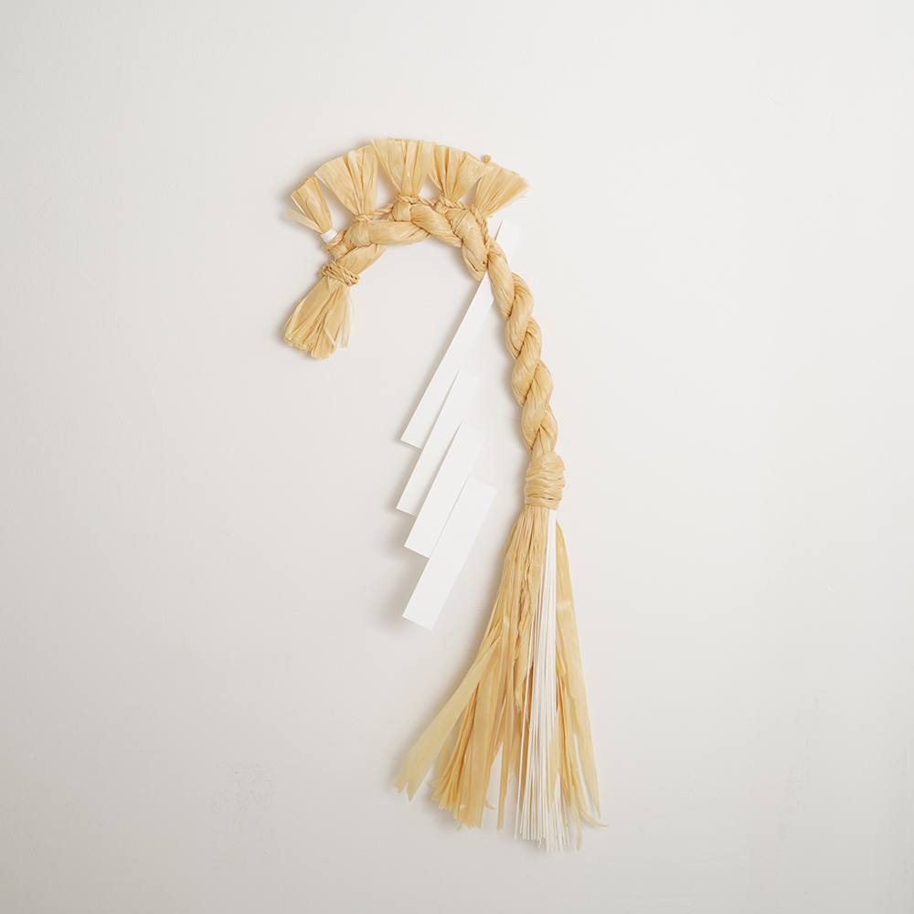 <img class='new_mark_img1' src='https://img.shop-pro.jp/img/new/icons1.gif' style='border:none;display:inline;margin:0px;padding:0px;width:auto;' />ͽ䡪2026ǯ ǯ_ ()