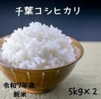 お米の向後米穀