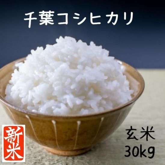 美味しいお米　リピート　30キロ　玄米 新米 令和6年 茨城県産 コシヒカリ 玄米 30kg