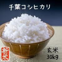 お米の向後米穀