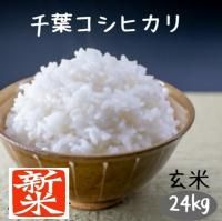 お米の向後米穀