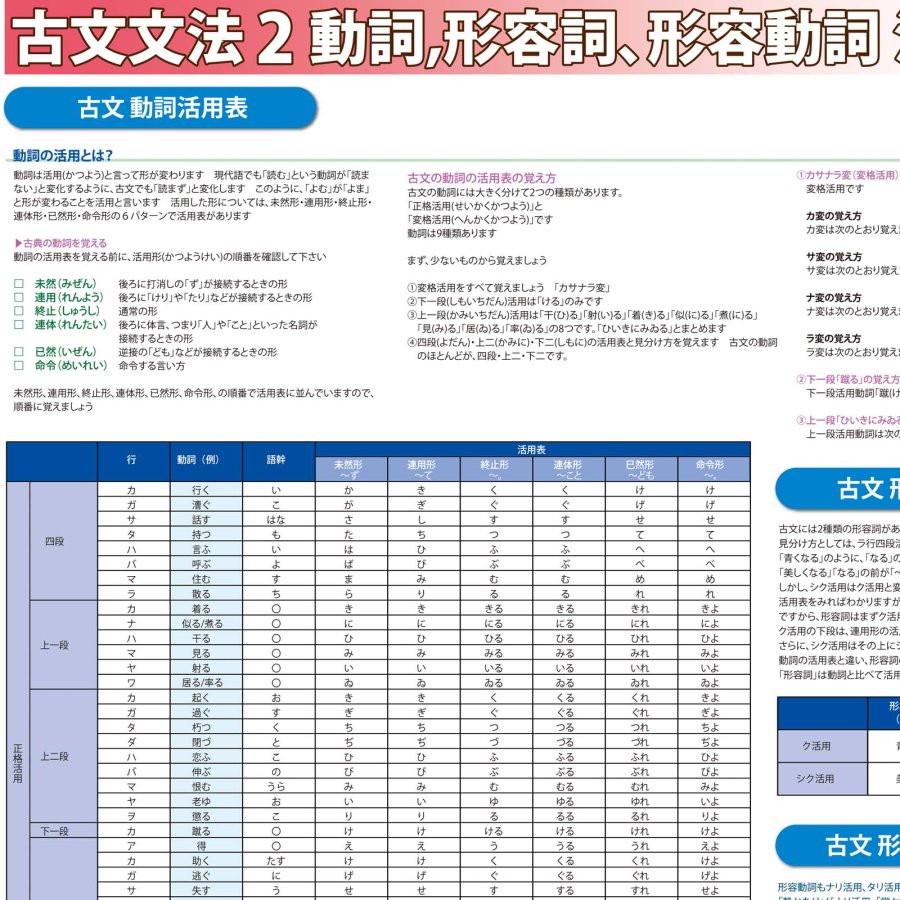 Proceedx 学習ポスター古文 文法2 動詞 形容詞 形容動詞活用表送料無料 勉強部屋 教室 壁掛け 中学 高校