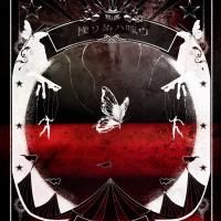 題名『幸運を呼ぶ蝶々』 蛾と蝶「操リ糸ハ嗤ウ」type蛾 (初回限定盤) - fiveStars