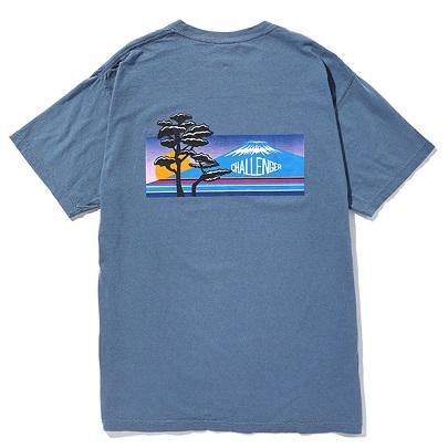 CHALLENGER チャレンジャー Tシャツ サイズ:M 20SS 顔料染め グラフィック クルーネック 半袖 Tシャツ ALOHA TEE ブラック トップス カットソー アロハティー 【メンズ】【美品】メンズ