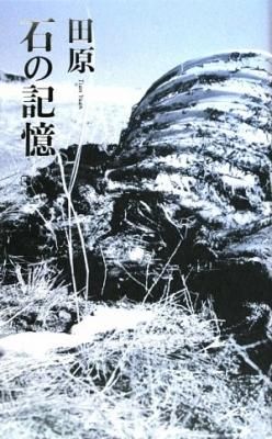 石の記憶