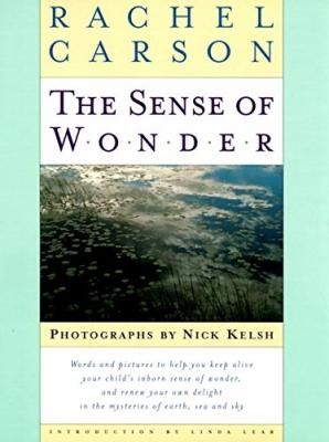 THE SENCE OF WONDER / RACHEL CARSONNICK KELSH 