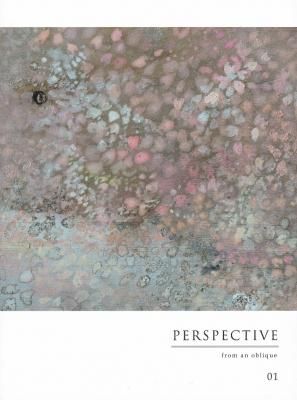 PERSPECTIVE from an oblique 01