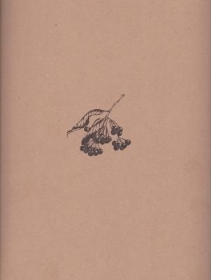 Winter / 野口優子