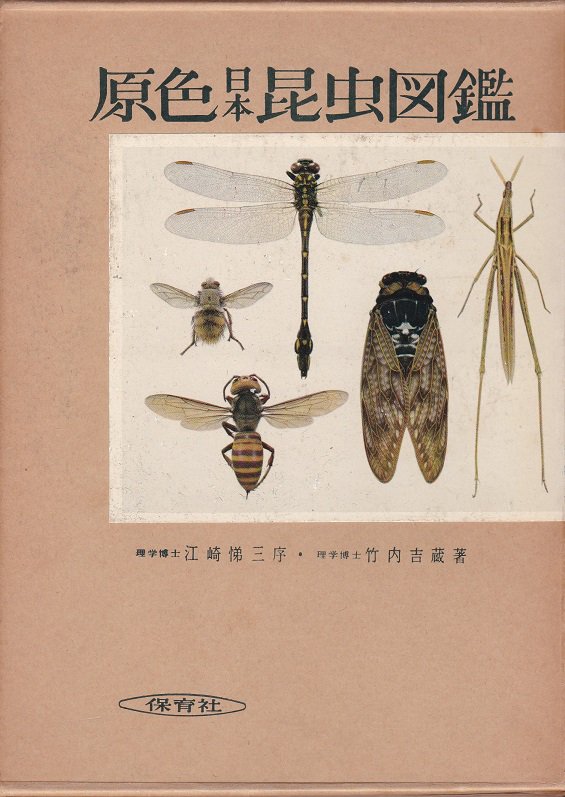 上野俊一原色日本甲虫図鑑 Ⅰ,Ⅱ,Ⅲ,Ⅳ　4冊セット