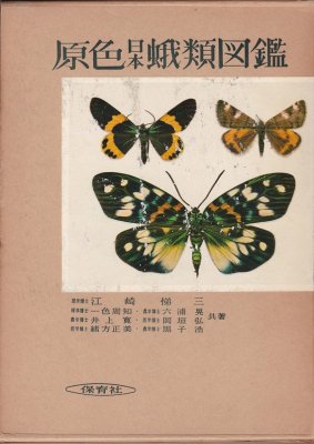 原色日本蝶類図鑑 - books used and new, flower works : blackbird 