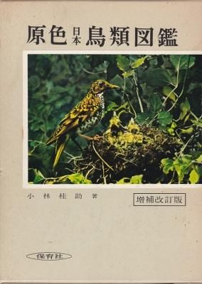 ¸¶¿§ÆüËÜÄ»Îà¿Þ´Õ