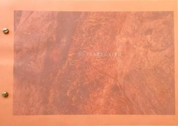 35 years later / ホンマタカシ・加瀬亮・武藤彩