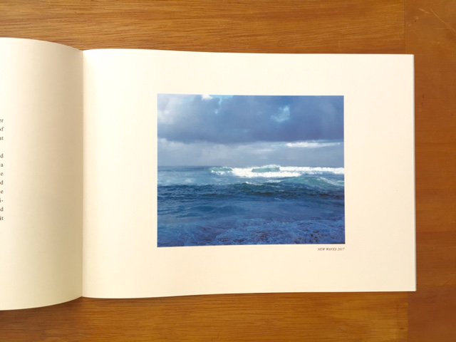 NEW WAVES / TAKASHI HOMMA ホンマタカシ（サイン本/Signed) - books used and new, flower  works : blackbird books ブラックバードブックス