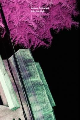  Into the Light / ëͤ yusuke yamatani (Signed)