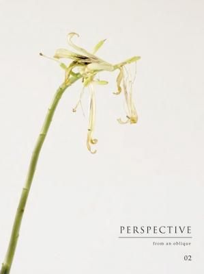 PERSPECTIVE from an oblique 02