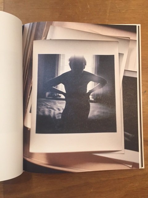 SAUL LEITER by François Halard (Signed/サイン本) - books used and new, flower  works : blackbird books ブラックバードブックス