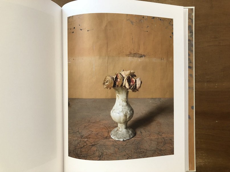 MORANDI'S OBJECTS / JOEL MEYEROWITZ - books used and new, flower