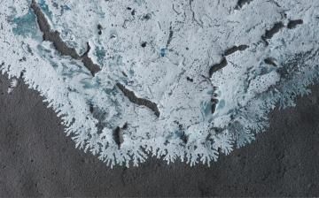 QUAKENESS / Ed TSUWAKI (サイン入 / Signed)