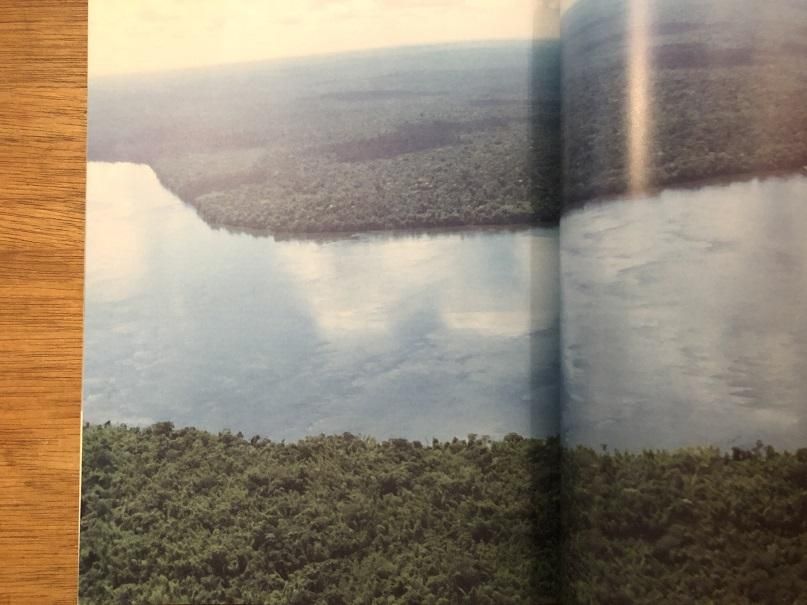 川内倫子写真集 種を蒔く／セメアール 種を蒔く セメアール / 川内倫子 Rinko Kawauchi - books used