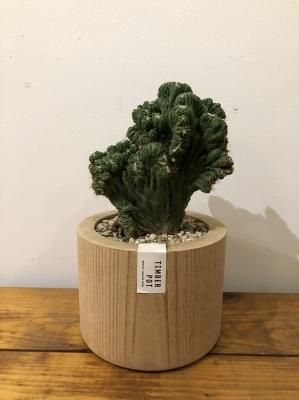 ܥƥ  Timber Pot set