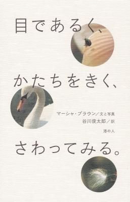 目であるく、かたちをきく、さわってみる。