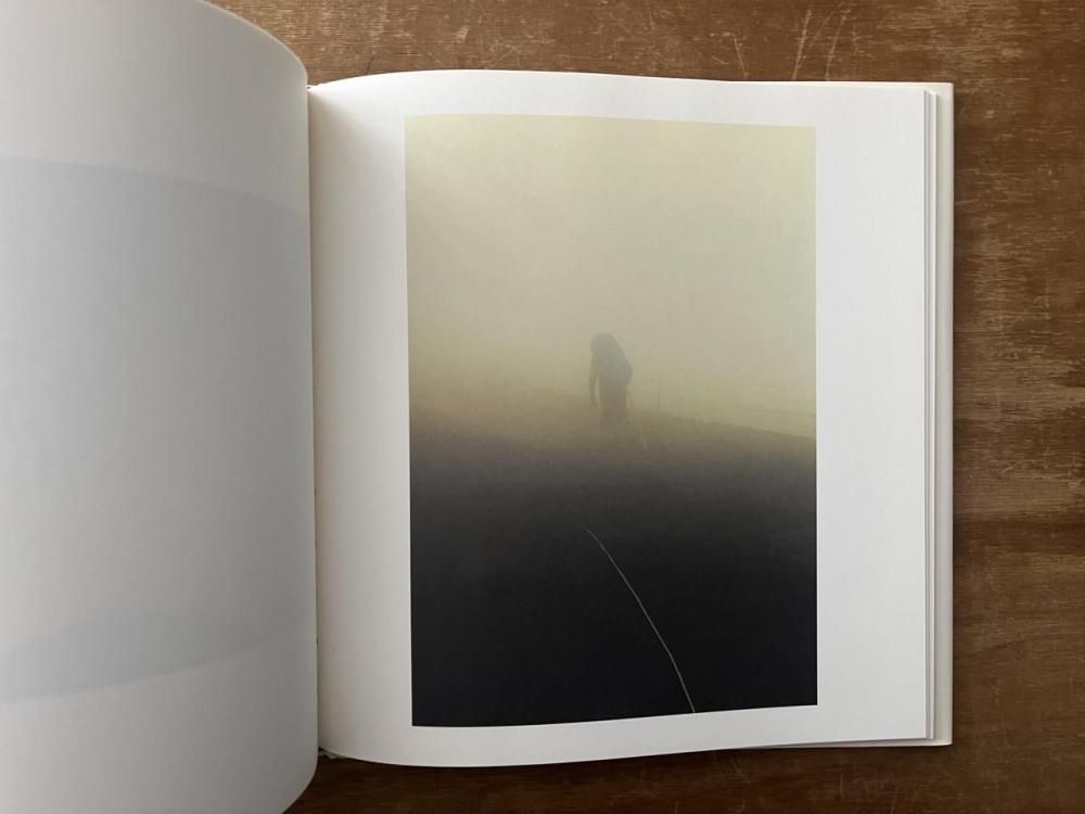 鳥を見る Seeing Birds / 野口里佳 Rika Noguchi - books used