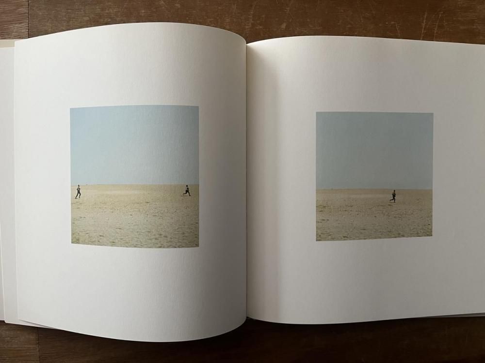 鳥を見る Seeing Birds / 野口里佳 Rika Noguchi - books used