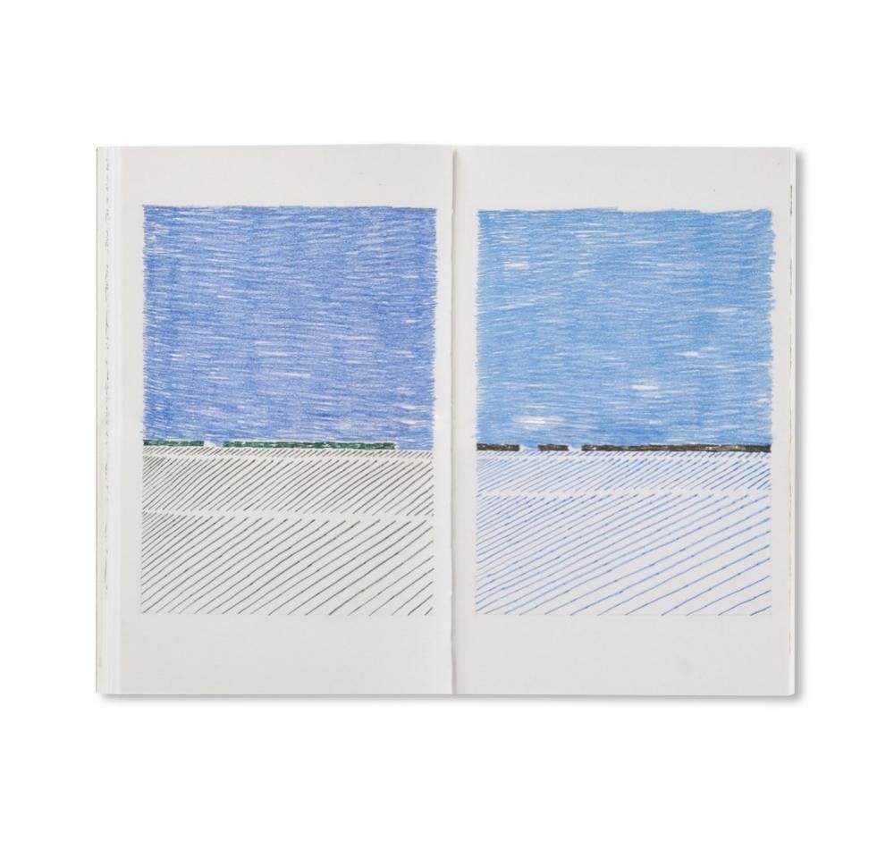 フランス限定 人気アーティストNigel PeakeナイジェルピークSIDES