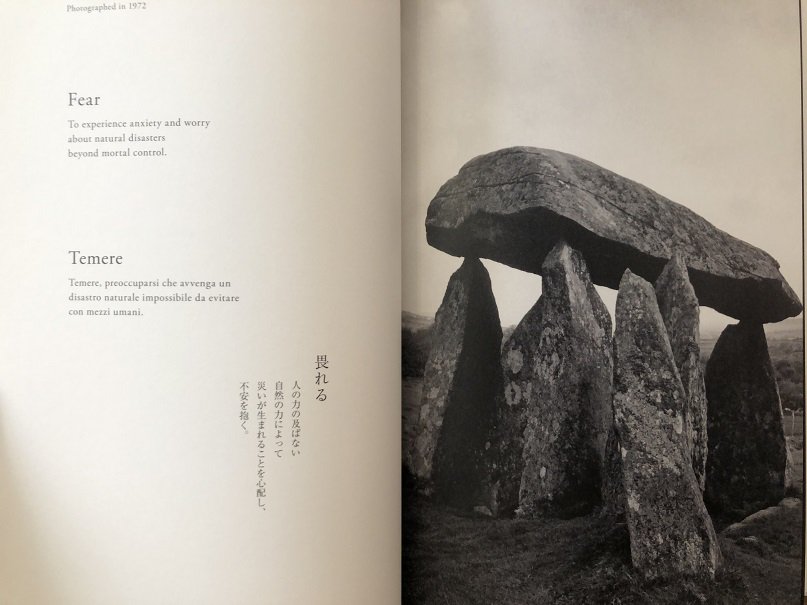 Neo-prehistory: 100 Verbs 新・先史時代-100の動詞 - books used and new, flower works  : blackbird books ブラックバードブックス