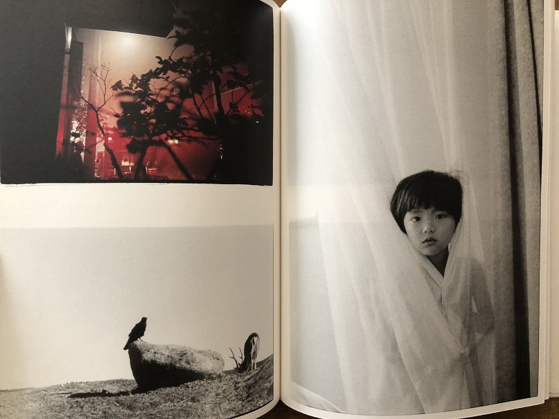 NUDE / A ROOM / FLOWERS by Sakiko Nomura 野村佐紀子（サイン入