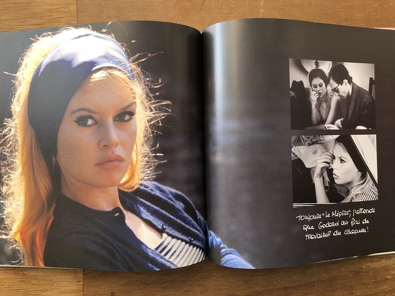 BRIGITTE BARDOT：VIES PRIVEES - books used and new, flower works 