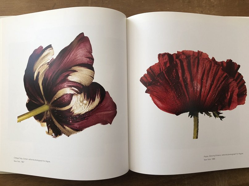 玄関先迄納品 Irving Still Penn Life 洋書 Irving Still 写真集 Penn