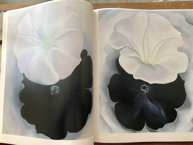 印象のデザイン ジョージア・オキーフ オキーフ画集「花」大型版 