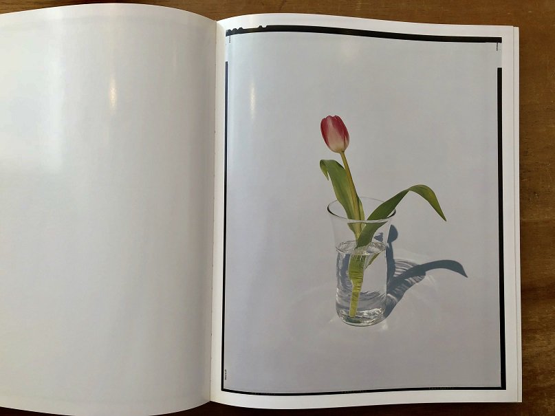 flowers / 上田義彦 - books used and new, flower works : blackbird