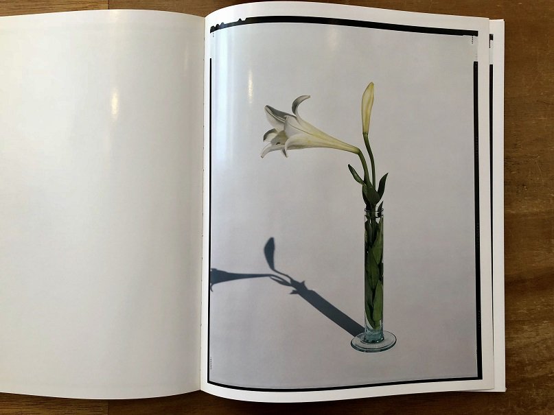 flowers / 上田義彦 - books used and new, flower works : blackbird books  ブラックバードブックス