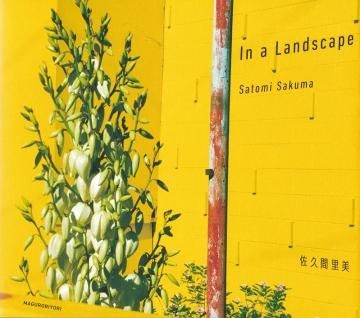 In a Landscape / ״Τ(Satomi Sakuma)