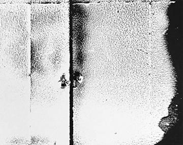 ŷںƹ Reflections on Tsugaru / ľ Sho Shibata