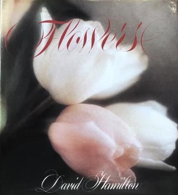 FLOWERS / DAVID HAMILTON