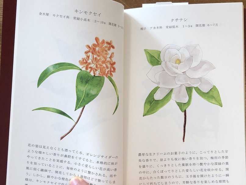 フレグラントフラワーカタログ FRAGMENT FLOWER CATALOG - books used