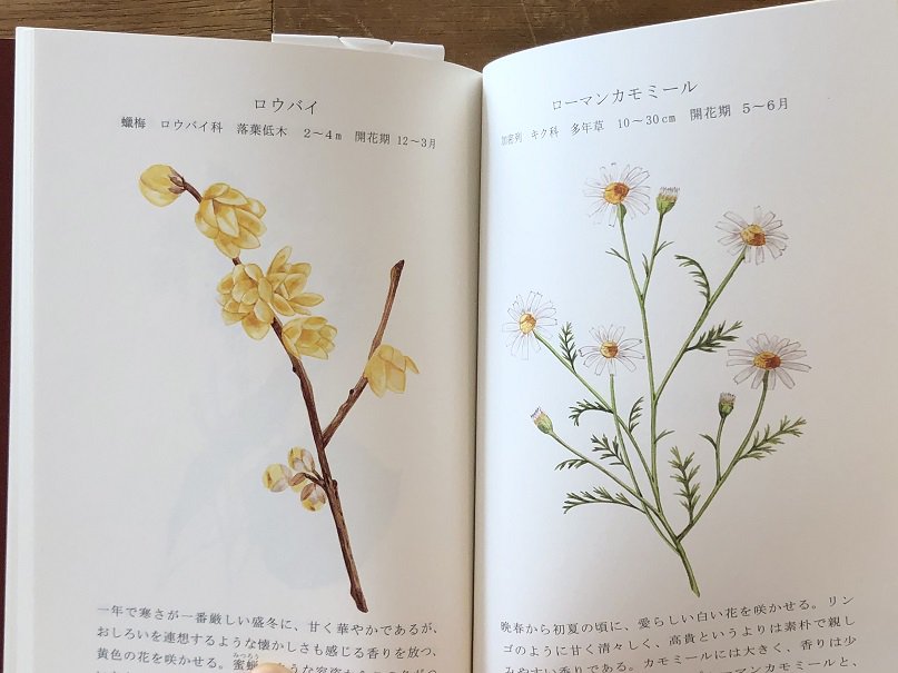 フレグラントフラワーカタログ FRAGMENT FLOWER CATALOG - books used