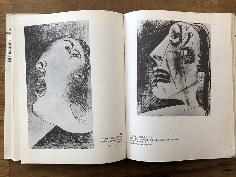 THE DRAWINGS OF PICASSO - books used and new, flower works : blackbird  books ブラックバードブックス